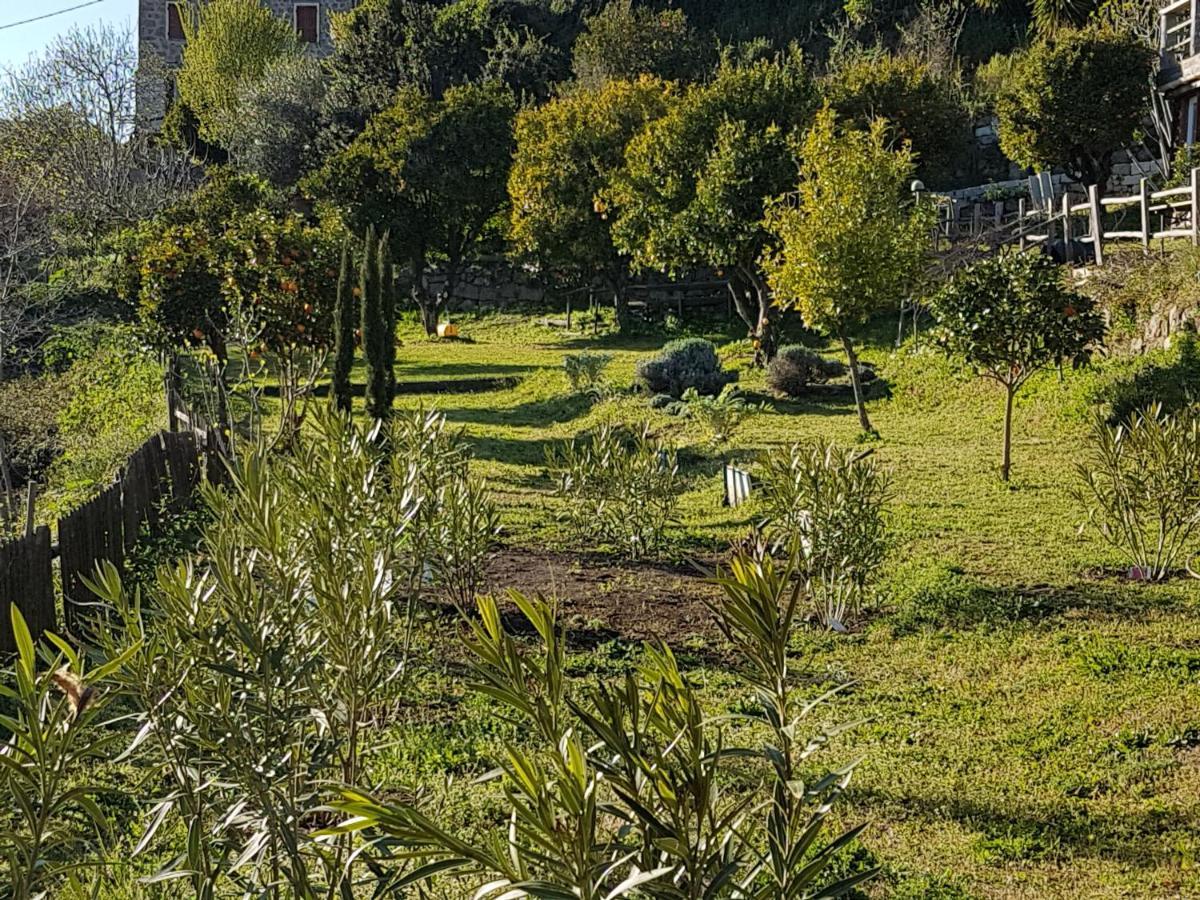 La Villa Guidi Pila-Canale 外观 照片