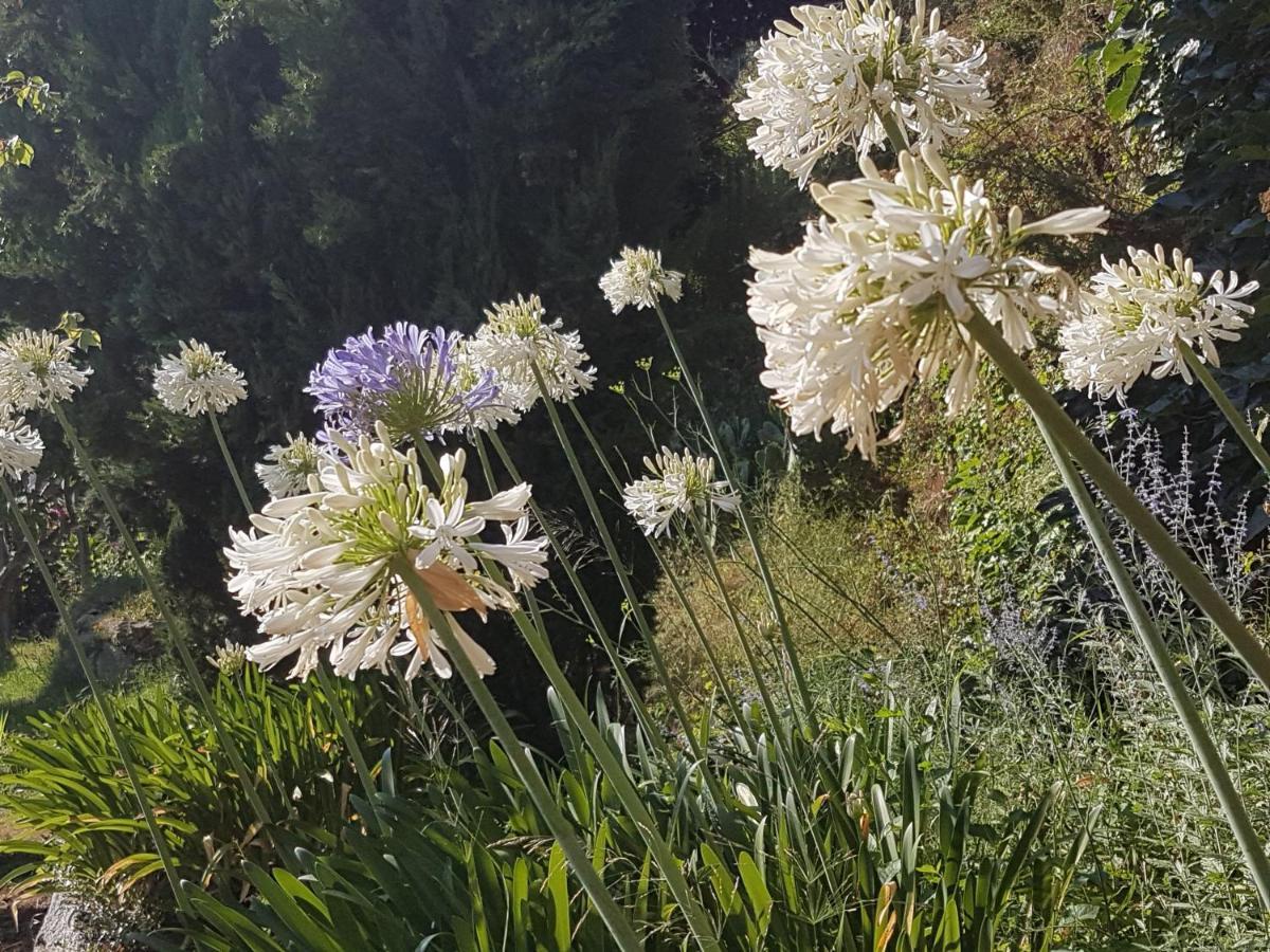 La Villa Guidi Pila-Canale 外观 照片
