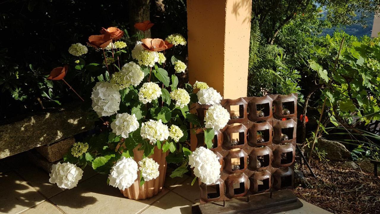 La Villa Guidi Pila-Canale 外观 照片