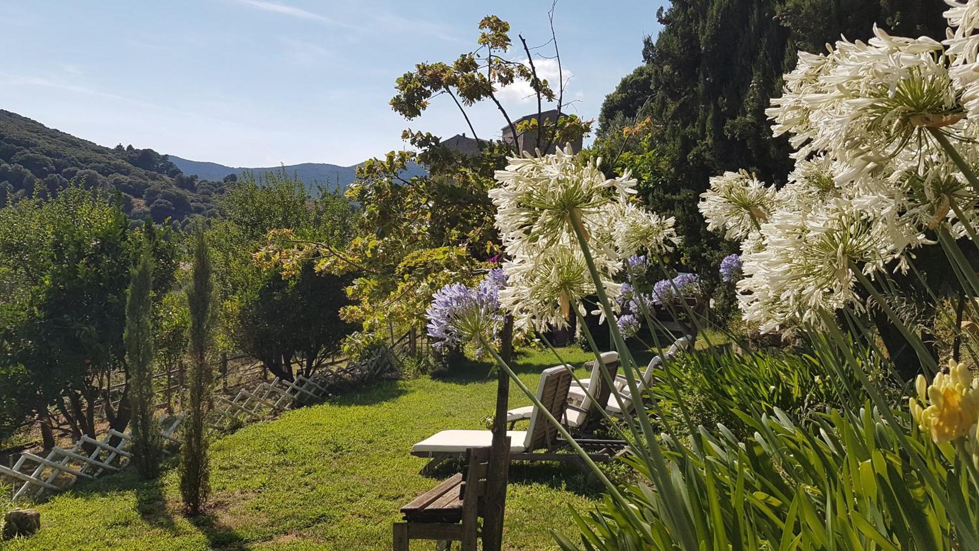 La Villa Guidi Pila-Canale 外观 照片
